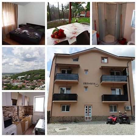 Varipatti House Slatina  Exteriér fotografie